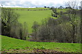 Farmland in the Cilieni valley