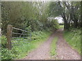 Track to former quarry, Burrow Hill