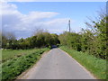 TM3886 : Tooks Common Lane, Ilketshall St.Andrew by Geographer