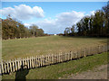 TF7729 : West View to Houghton Hall by Des Blenkinsopp