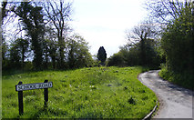 TM3887 : School Road, Ilketshall St.Andrew by Geographer