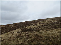 NC3413 : Lower moorland slopes of Meall a' Bhuirich by John Ferguson
