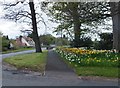 Path alongside the A6105 in Foulden