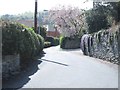 Fron Bache - Vicarage Road