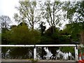 Pond at Pirton