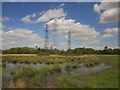 Pylons, Meadowlands Park