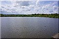 Elsecar Reservoir