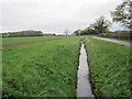 Towards Grange Farm, near Nun Monkton