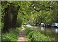 River Wey Navigation