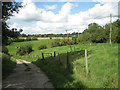 Banks below Dinglewell Farm