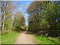 Trans Pennine Trail, Brinnington (1)