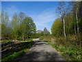 Trans Pennine Trail, Brinnington