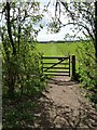 Gate out of the Wood