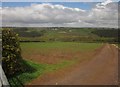 View from Aldridge Mill Hill