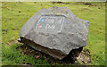 Waymarked stone, Belfast Castle