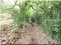 Holt Heath, permissive footpath