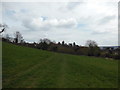 The Cotswold Way on Primrose Hill