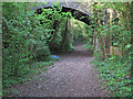 TQ8399 : Old Trackbed at Stow Maries Halt Nature Reserve by Roger Jones