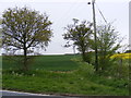 TM3587 : Footpath off the A144 St.John's Road by Geographer