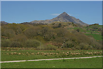 SH6143 : View Towards Cnicht, Gwynedd by Peter Trimming