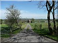  Footpath on driveway to Great House