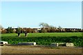 Playing field, Shinewater, Eastbourne