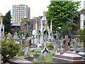 Fulham: Graveyard of St. Thomas