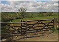 Field near Mildon