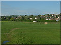 Benfleet Marsh