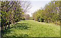 Site of Eydon Road Halt, near Culworth 1992