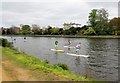 TQ1768 : Stand up paddleboarding on River Thames by Paul Gillett