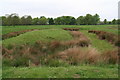 Old pond on the Scrivelsby Estate