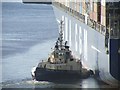 Svitzer Surrey at Southampton Docks