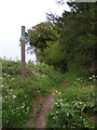 Footpath to Lodge Farm Lane