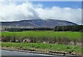 Late Snowfall on Tinto Hill