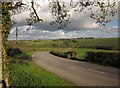 Road near Broadlands