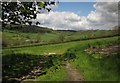 Countryside in the Otter valley