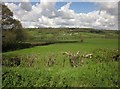 Farmland near Highley Farm