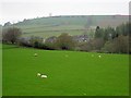 Field by Bonchester Bridge