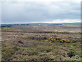 View roughly south from near Wheal Coates car park