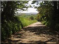 Lane on Snowdon Hill