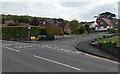 Horse Lane Orchard, Ledbury