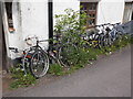 Collection of old bicycles, Roadwater