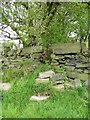 Stile on footpath at Shaw Head