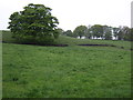 Farmland near Warley Town