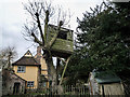 Tree House on West Wickham road