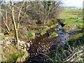 Stream at Pont Dafarn-Dudur north of Penygroes