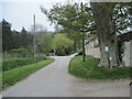 Yorkshire  Wolds  Way  through  Potter  Brompton