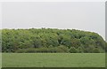 TA2003 : Field towards Irby Holme Wood by J.Hannan-Briggs
