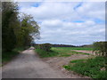 Bridleway at The Plantation